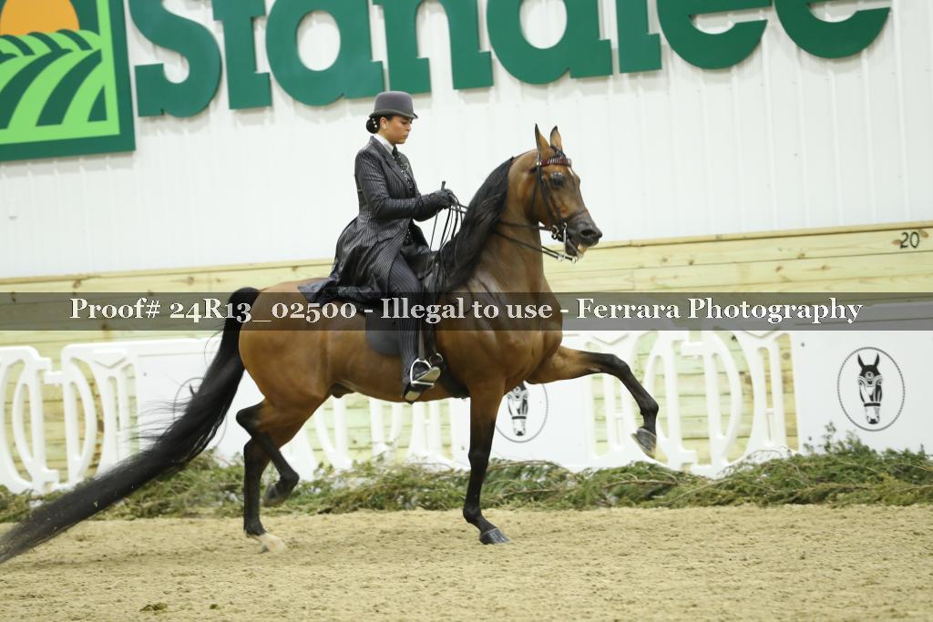 Proof 24R13_02500