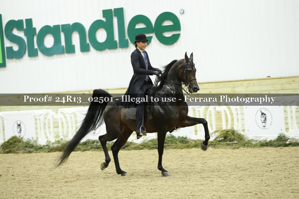 Proof 24R13_02501