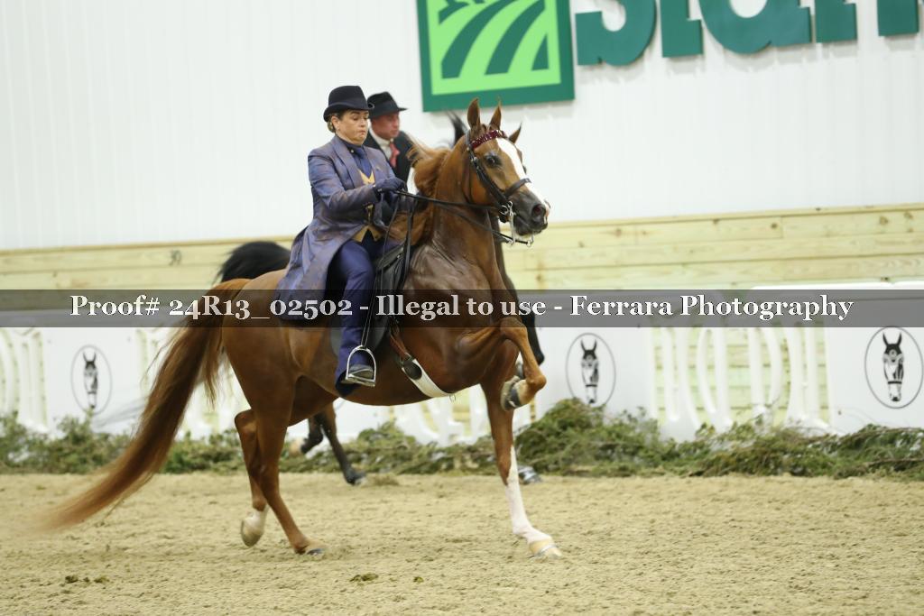Proof 24R13_02502