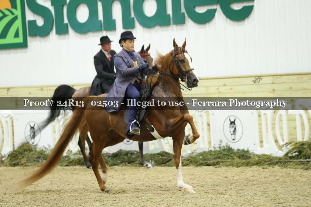 Proof 24R13_02503