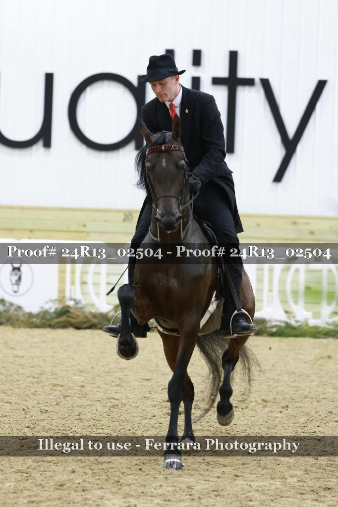 Proof 24R13_02504