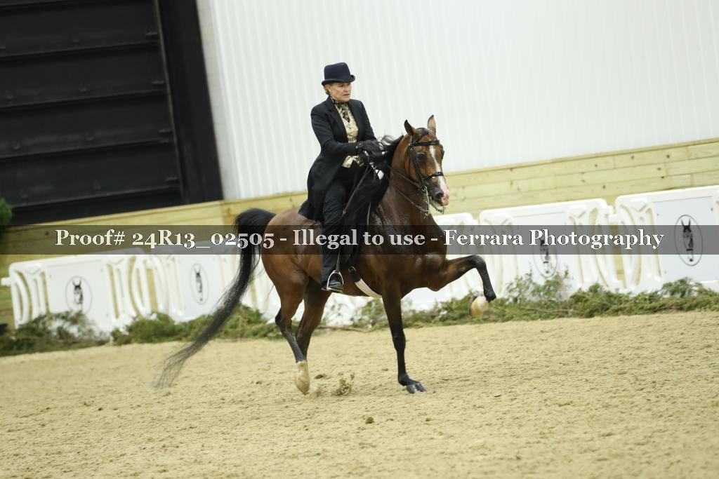 Proof 24R13_02505