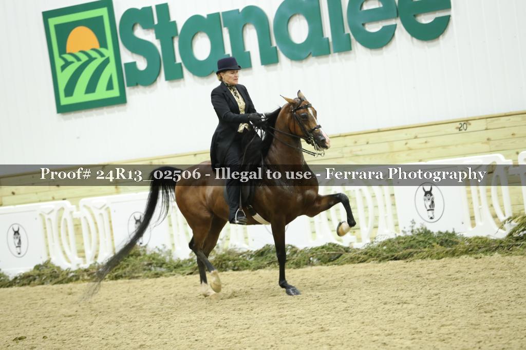 Proof 24R13_02506