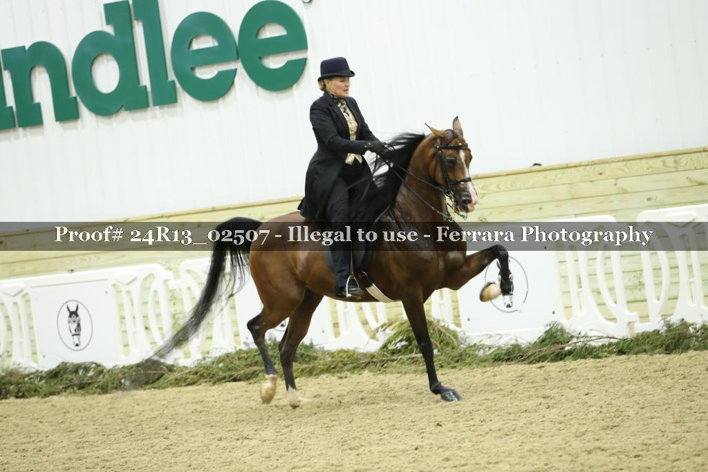 Proof 24R13_02507