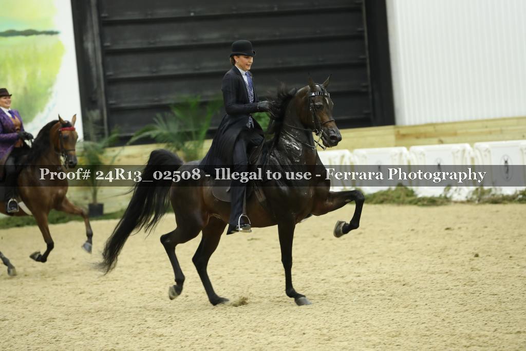 Proof 24R13_02508
