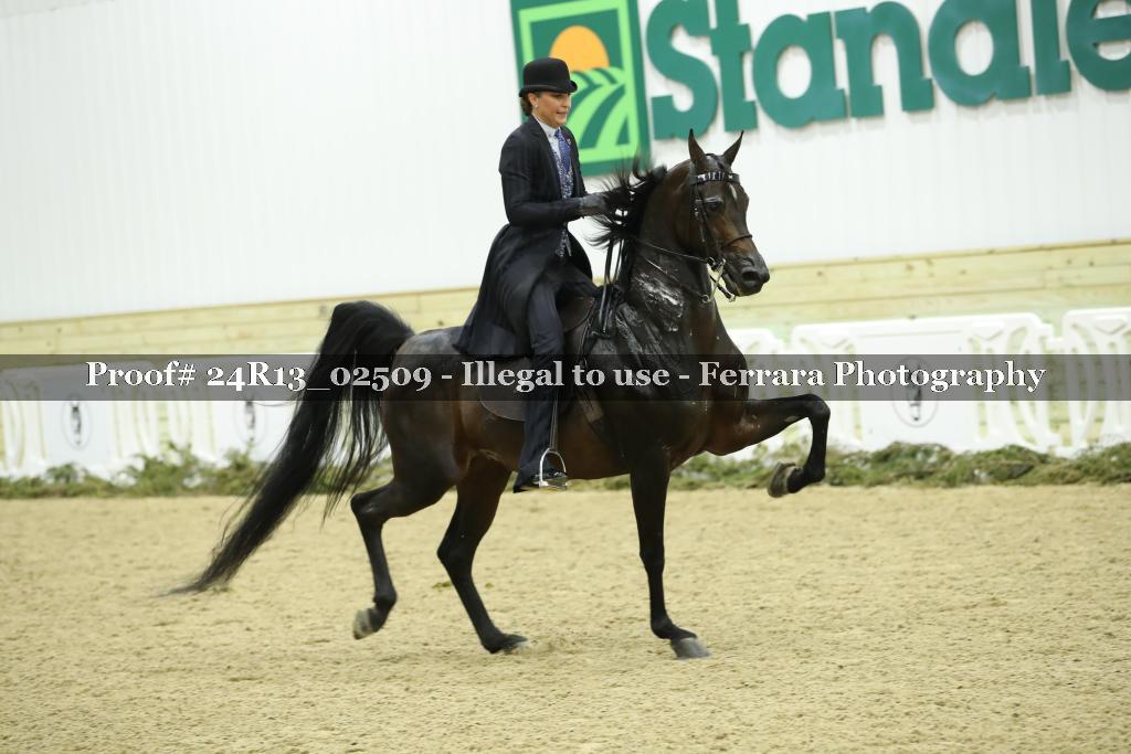Proof 24R13_02509