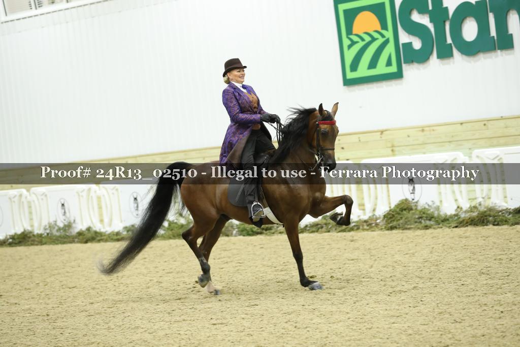 Proof 24R13_02510