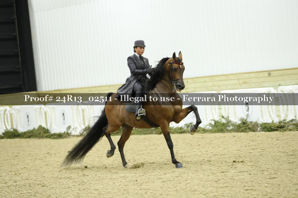 Proof 24R13_02511