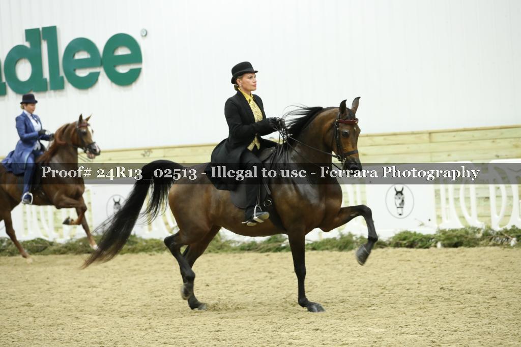 Proof 24R13_02513