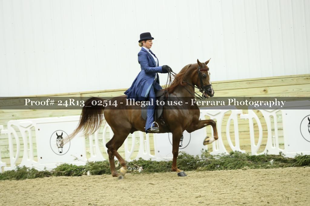 Proof 24R13_02514