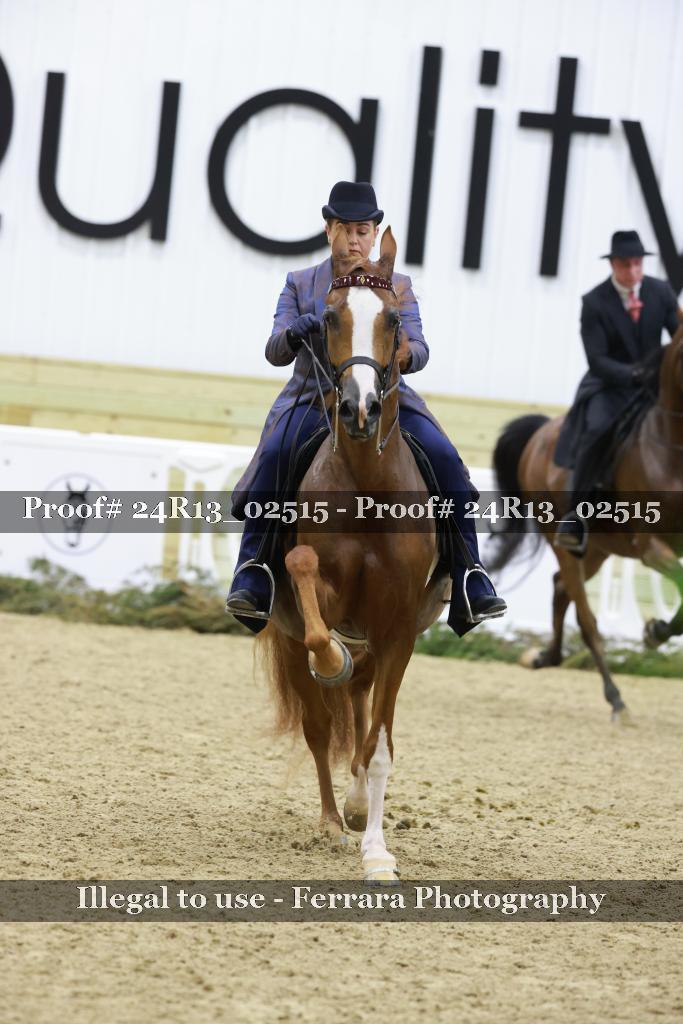 Proof 24R13_02515