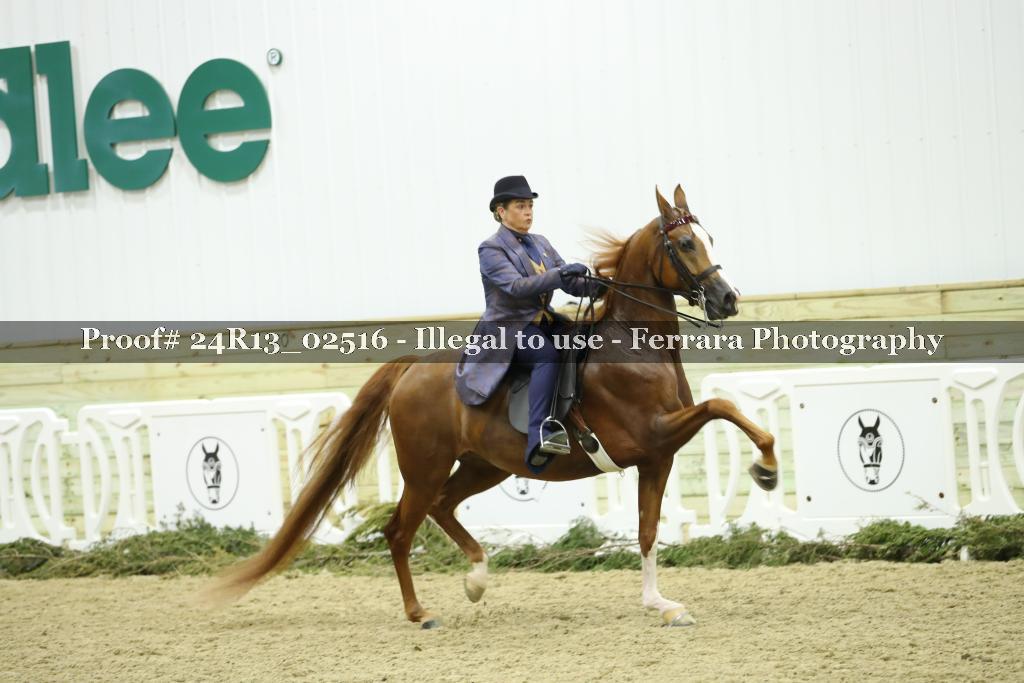 Proof 24R13_02516