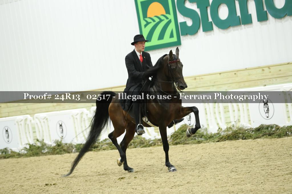 Proof 24R13_02517