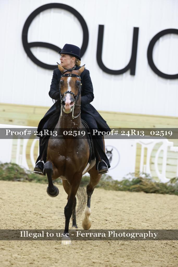 Proof 24R13_02519