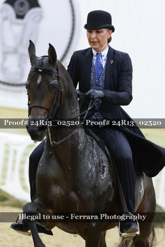Proof 24R13_02520