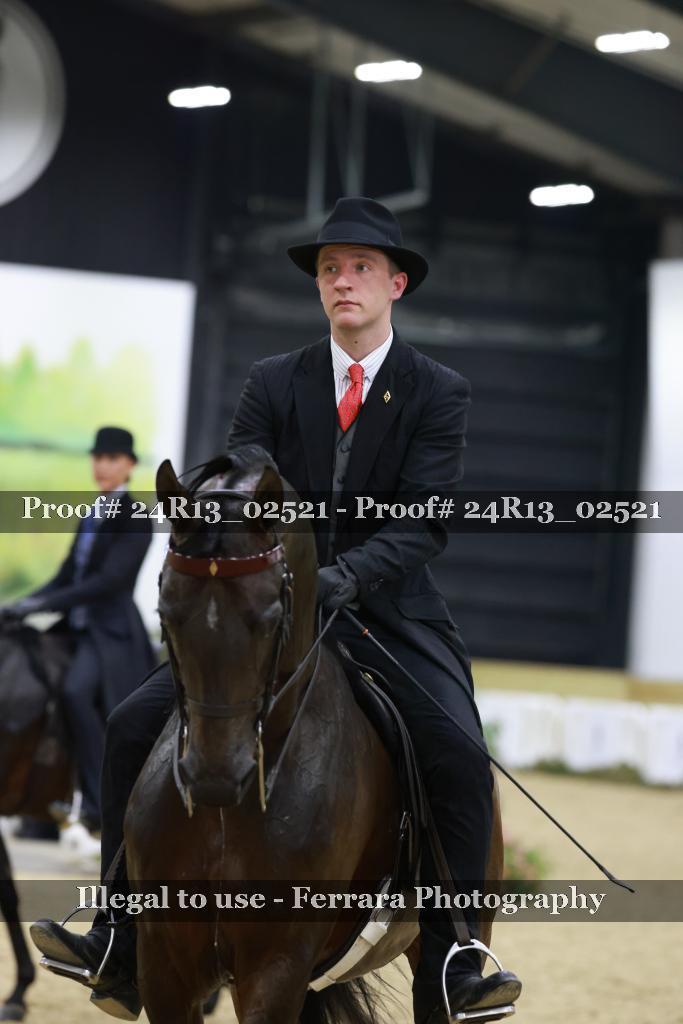 Proof 24R13_02521