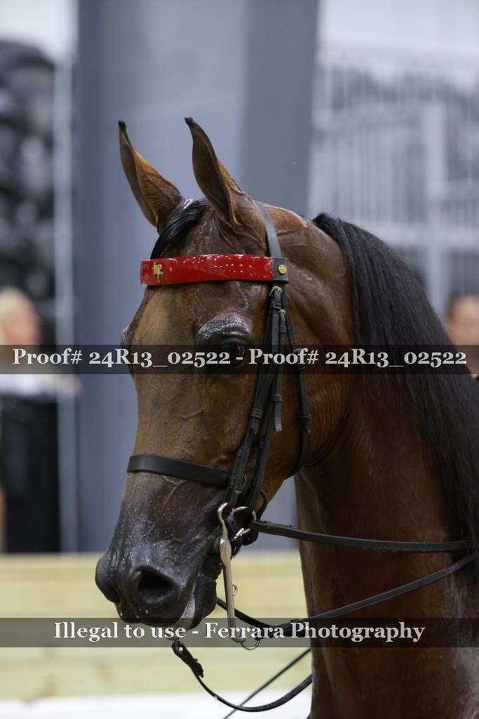 Proof 24R13_02522