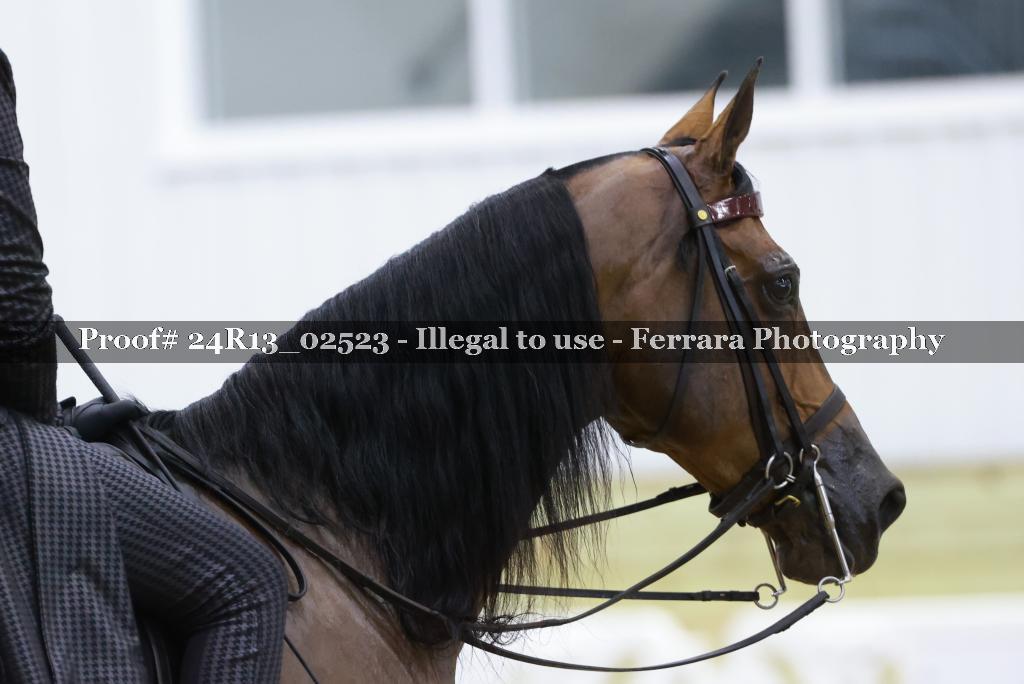 Proof 24R13_02523