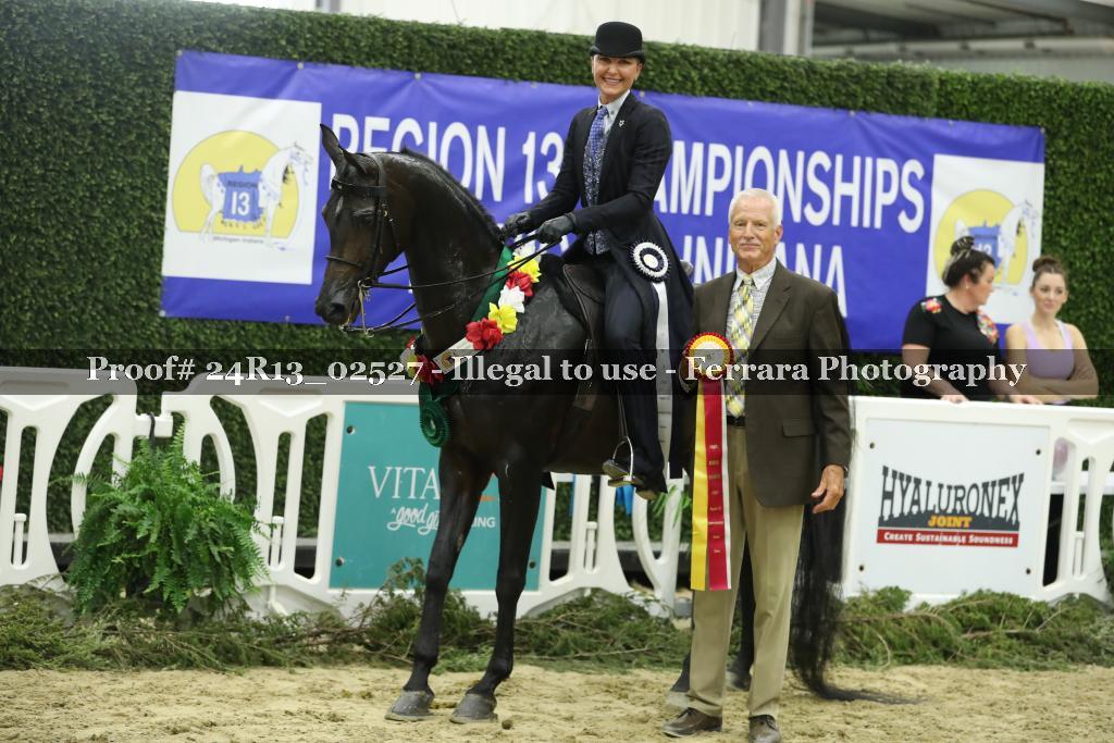 Proof 24R13_02527