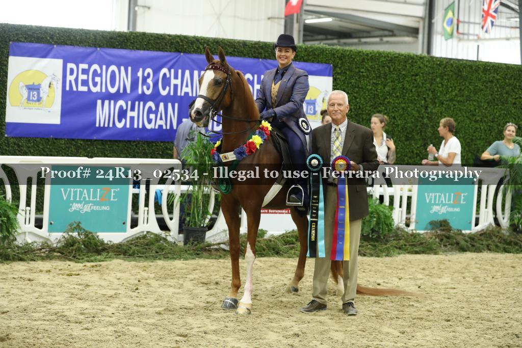 Proof 24R13_02534