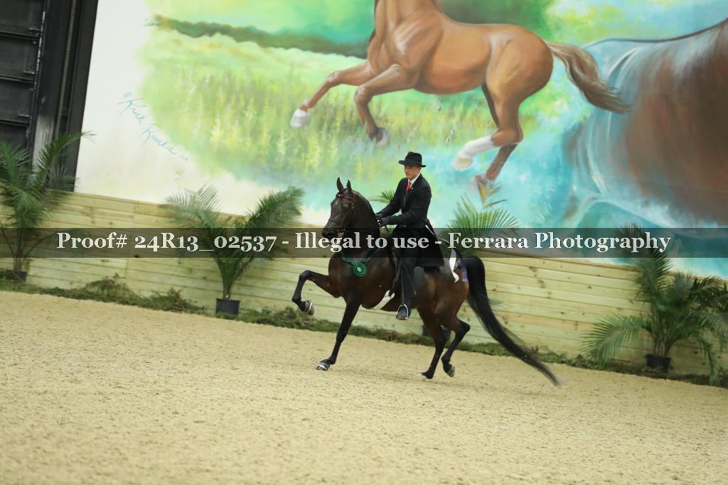 Proof 24R13_02537
