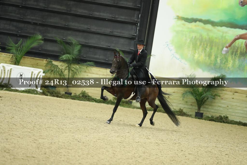Proof 24R13_02538