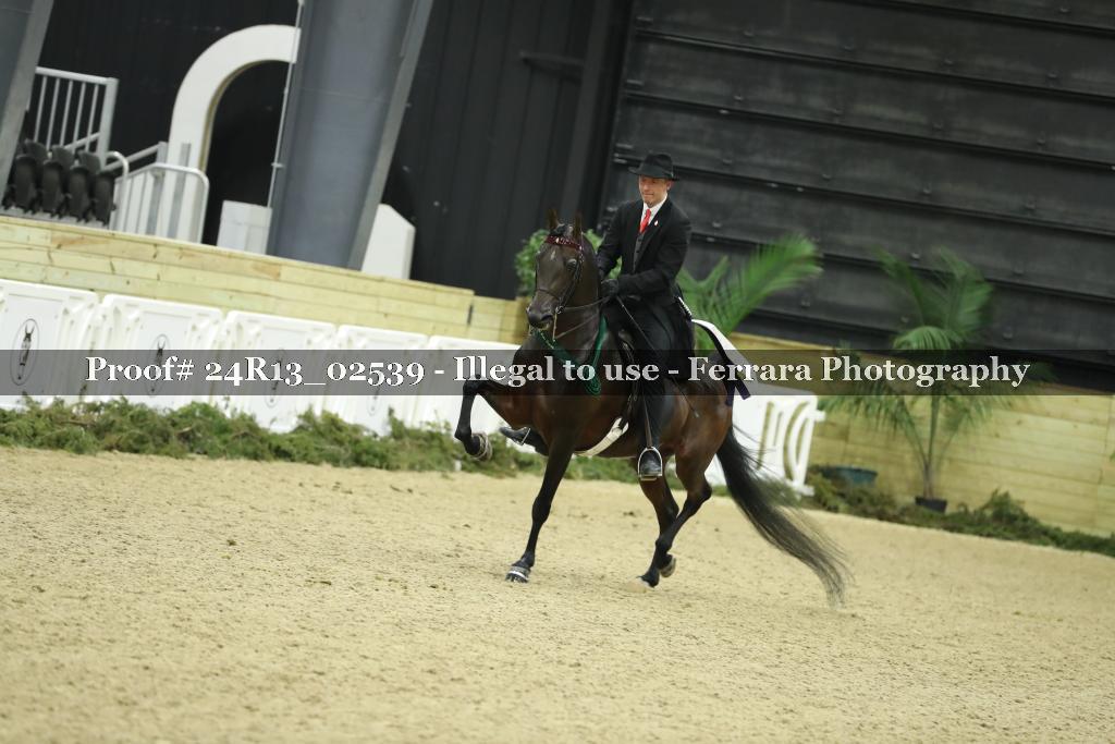 Proof 24R13_02539