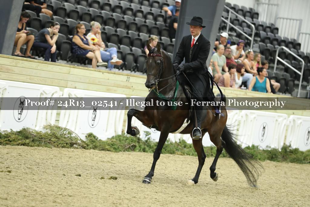 Proof 24R13_02541