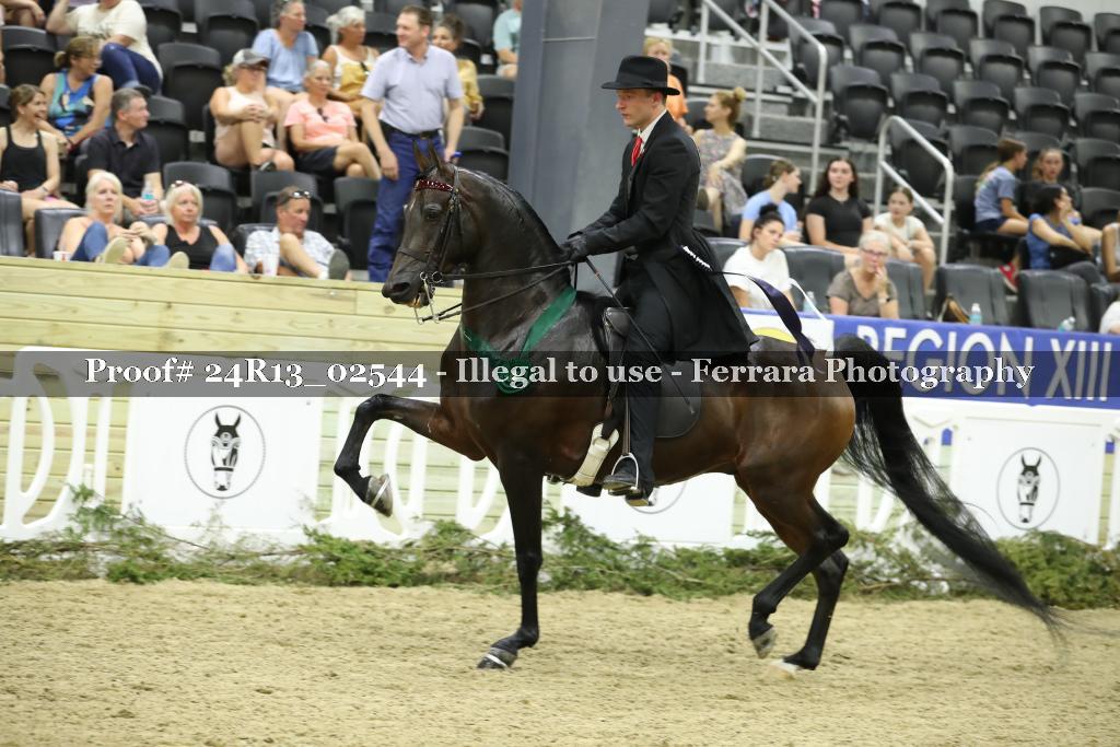 Proof 24R13_02544