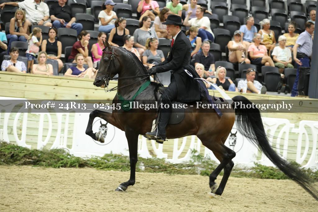 Proof 24R13_02545