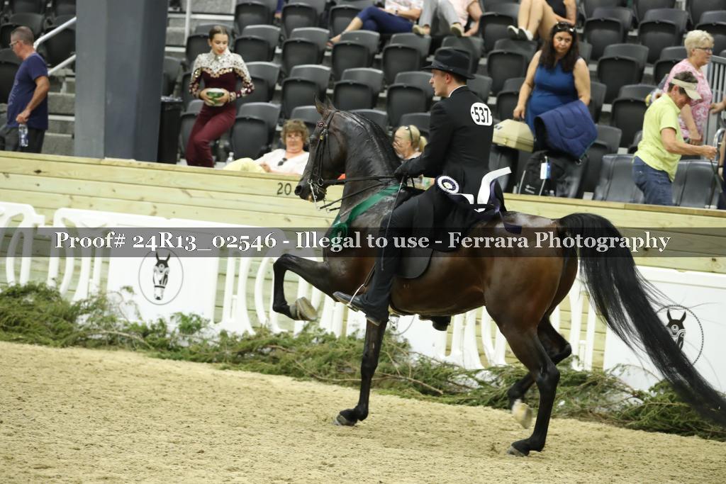 Proof 24R13_02546
