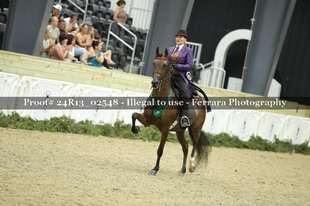 Proof 24R13_02548