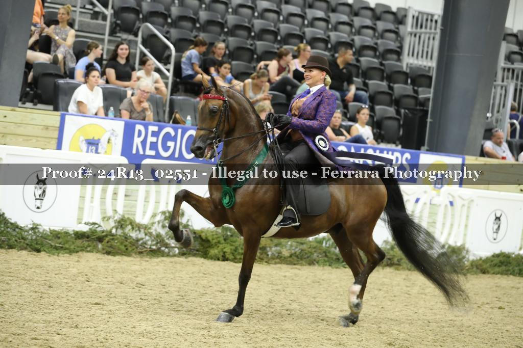 Proof 24R13_02551