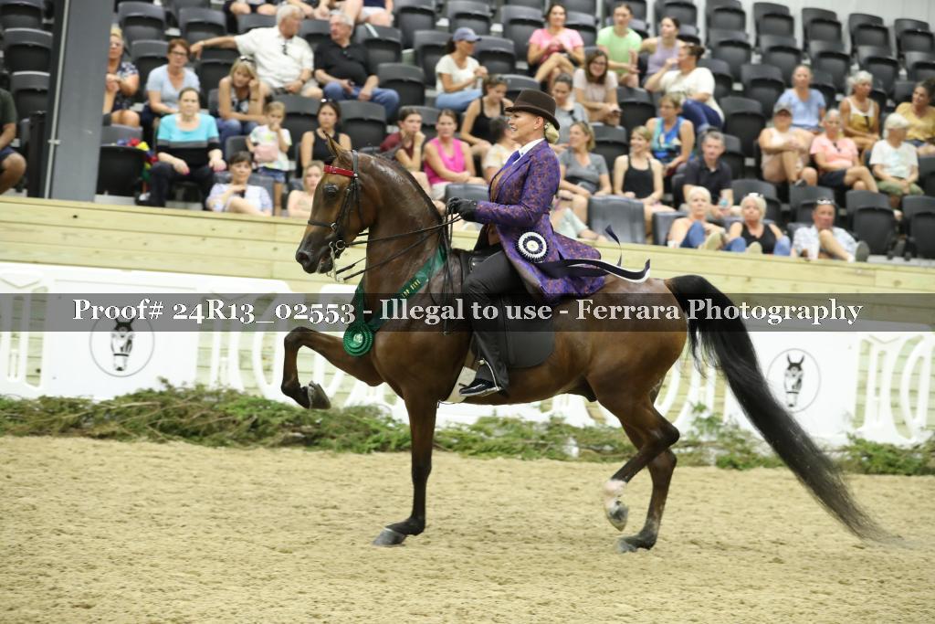 Proof 24R13_02553