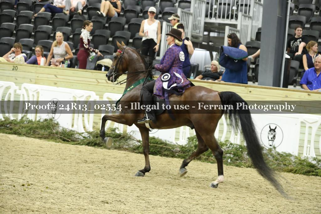 Proof 24R13_02554