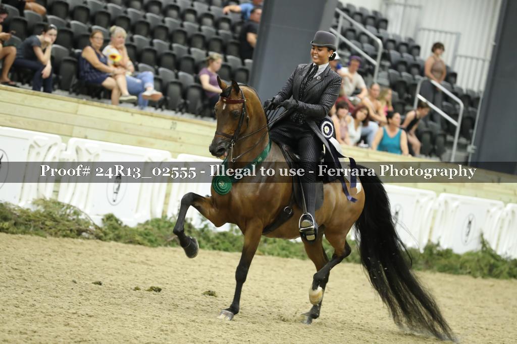 Proof 24R13_02555