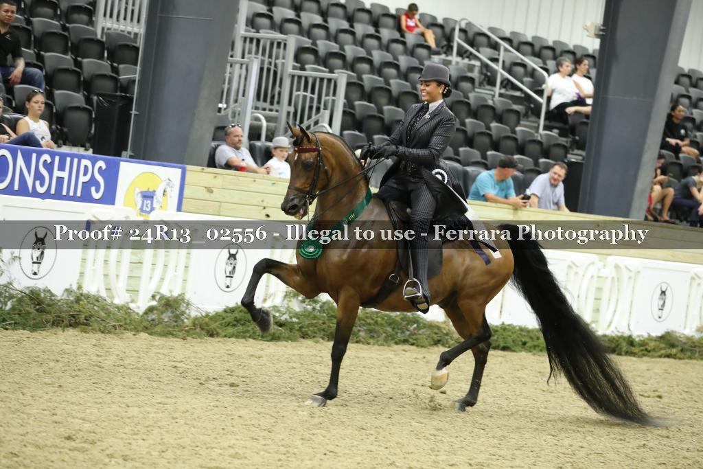 Proof 24R13_02556