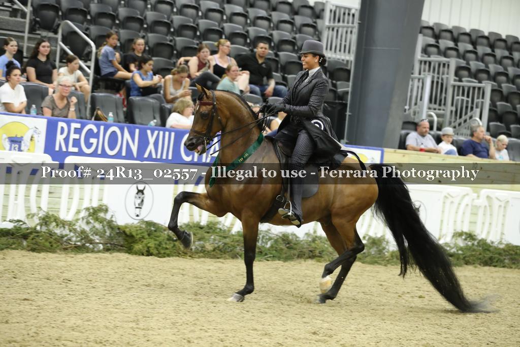 Proof 24R13_02557