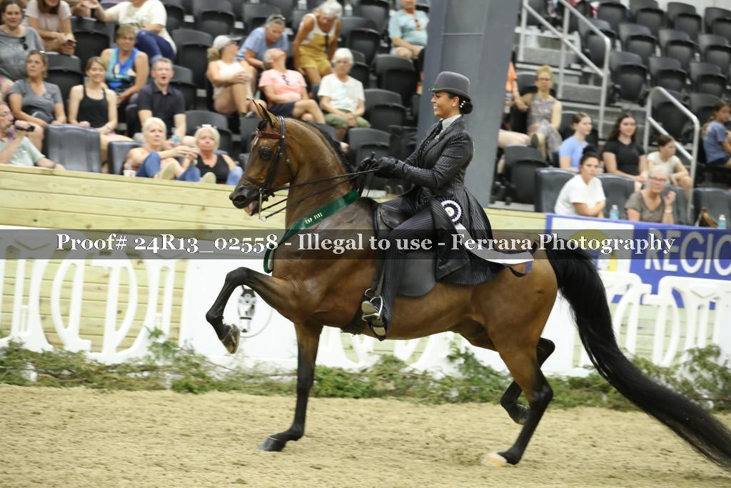 Proof 24R13_02558
