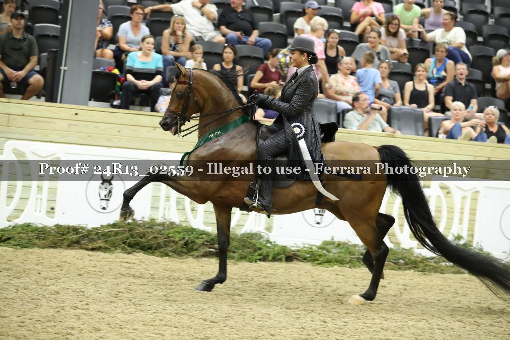 Proof 24R13_02559
