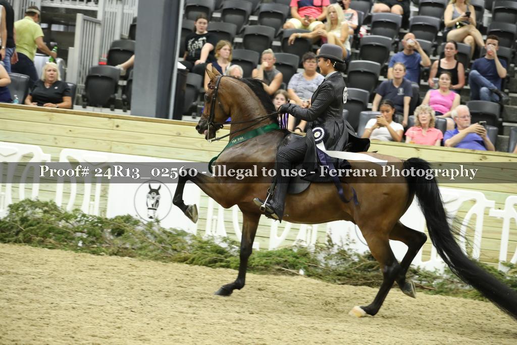 Proof 24R13_02560