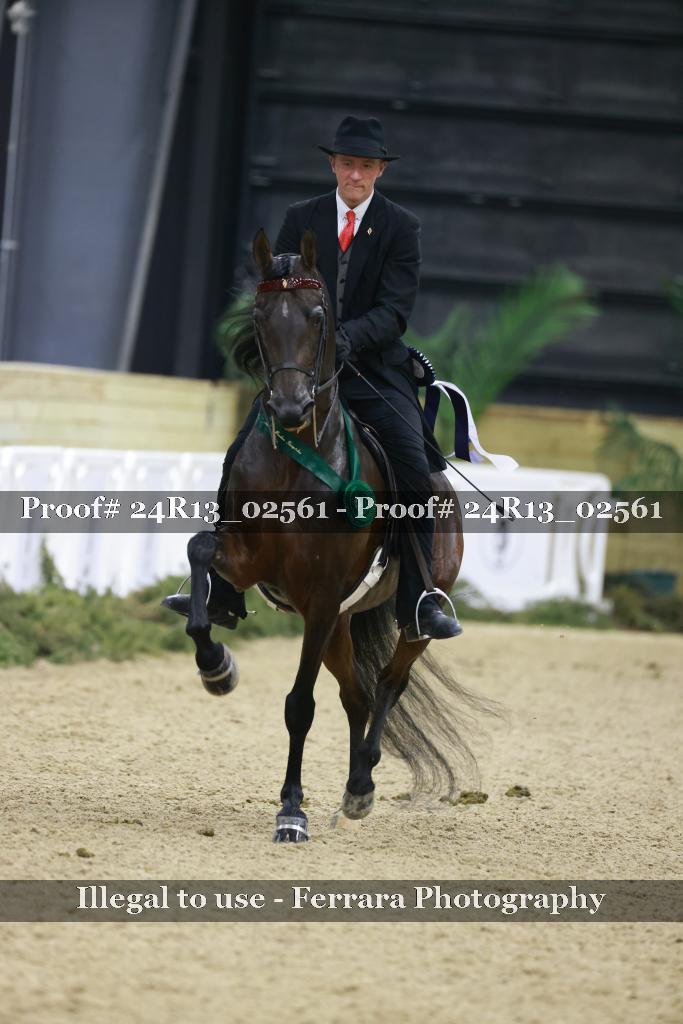 Proof 24R13_02561