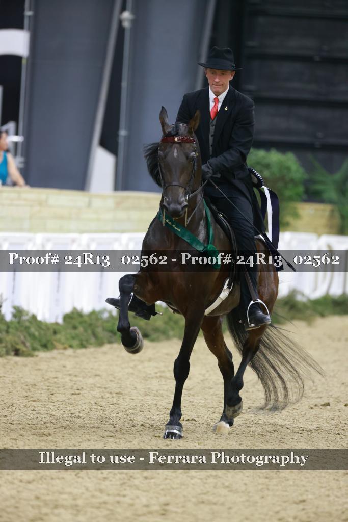Proof 24R13_02562