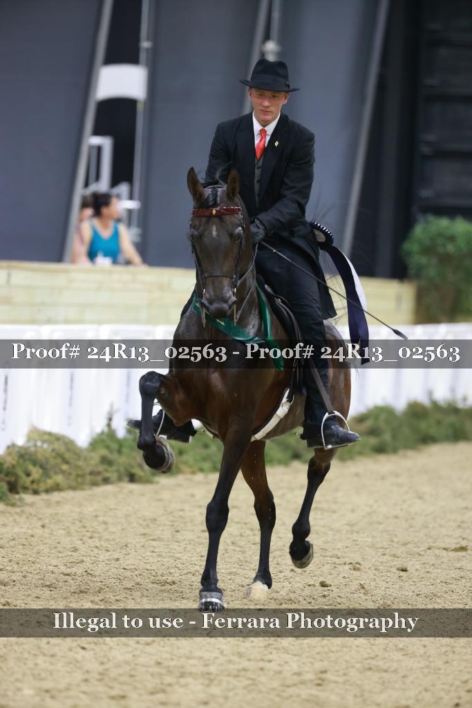 Proof 24R13_02563