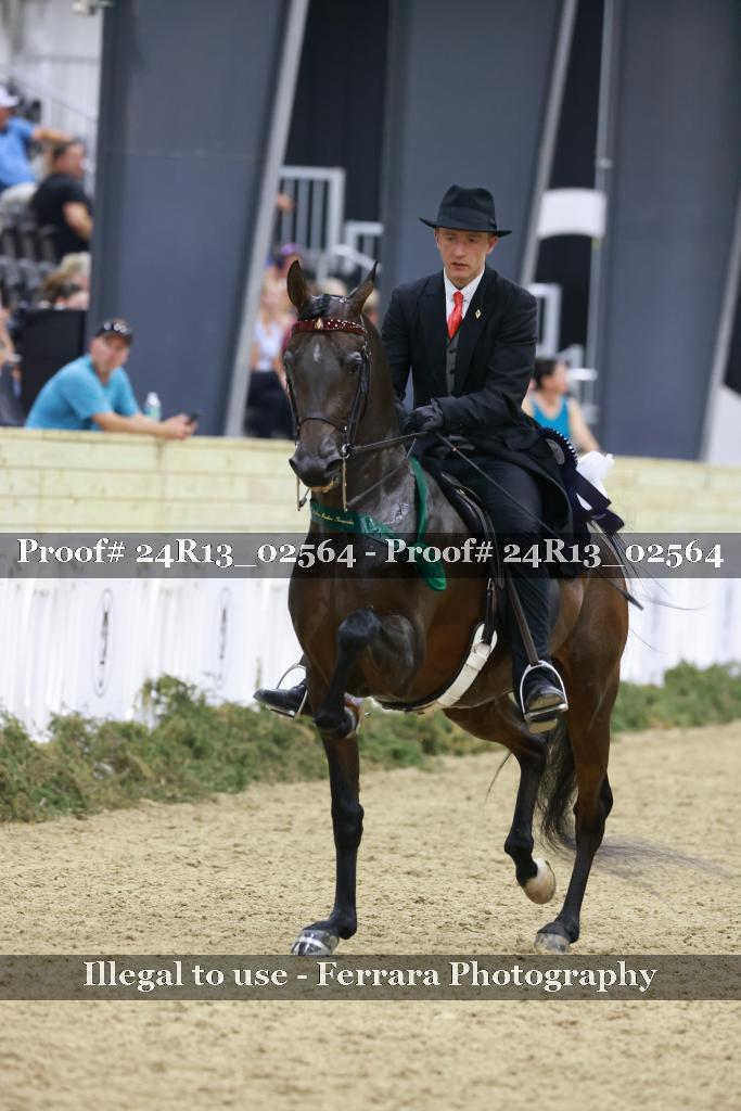Proof 24R13_02564