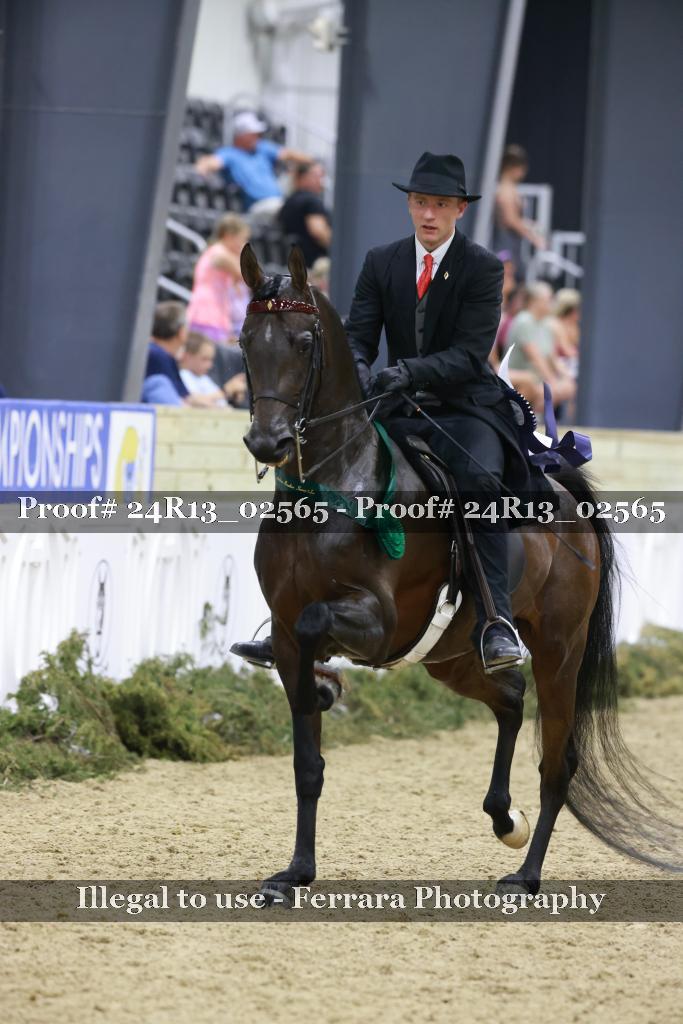 Proof 24R13_02565