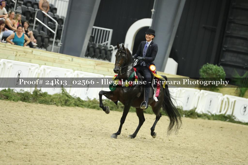 Proof 24R13_02566