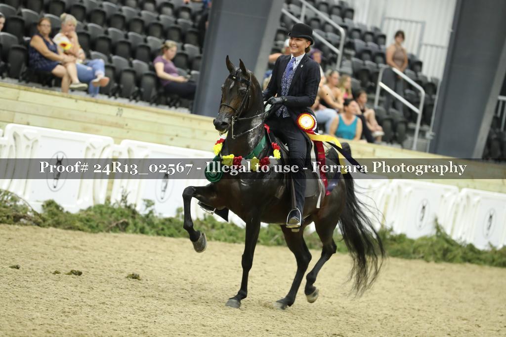 Proof 24R13_02567