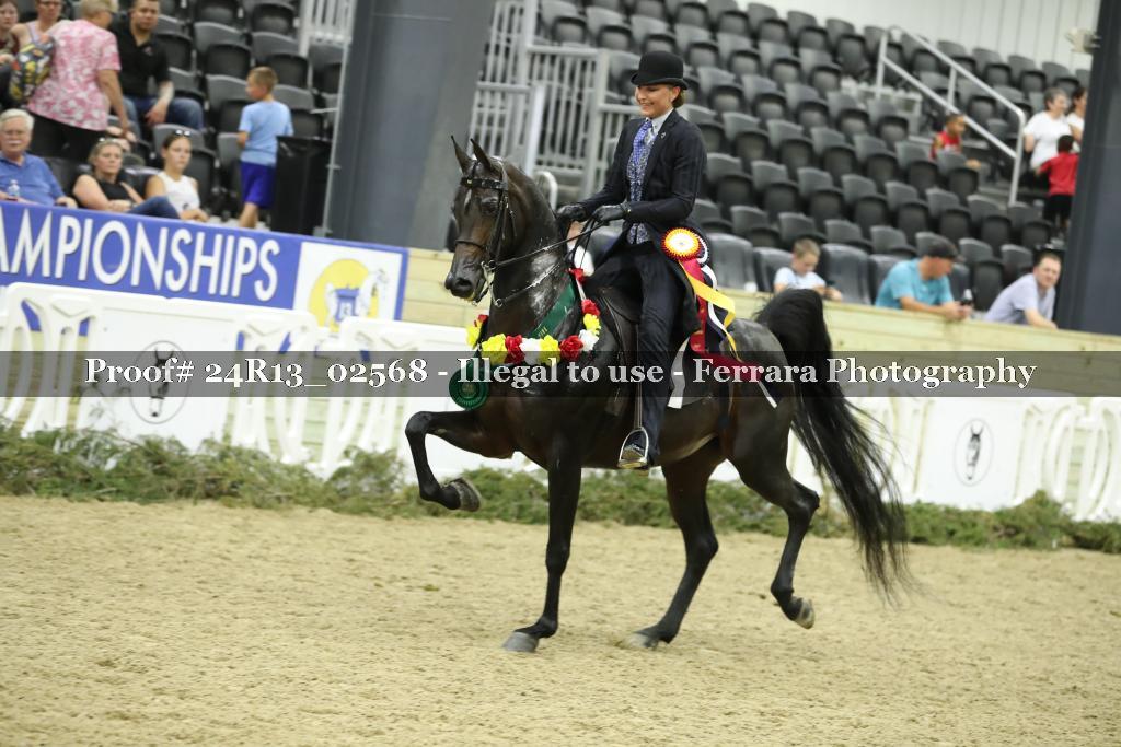 Proof 24R13_02568