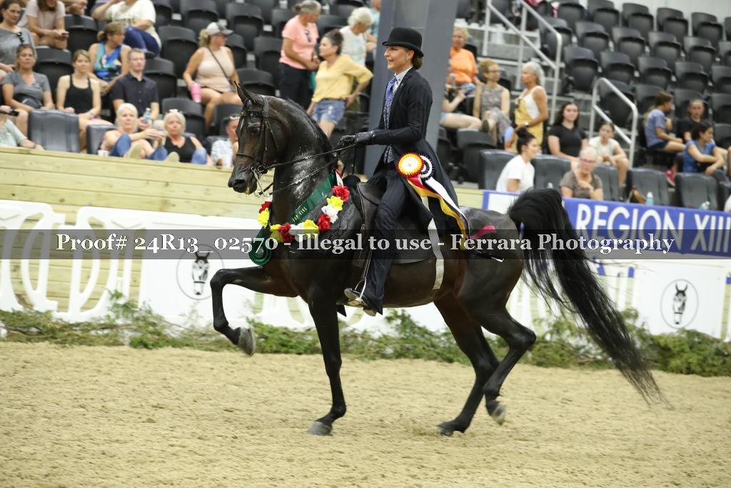 Proof 24R13_02570